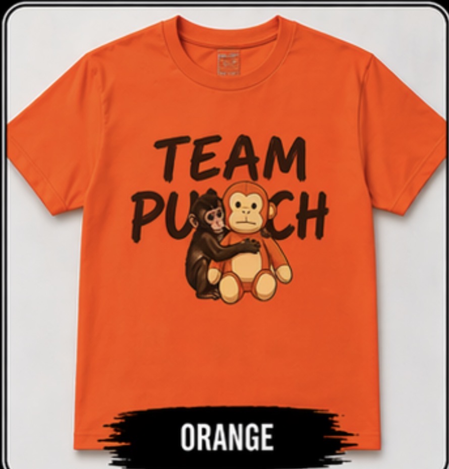 Team Punch Monkey Graphic Tee